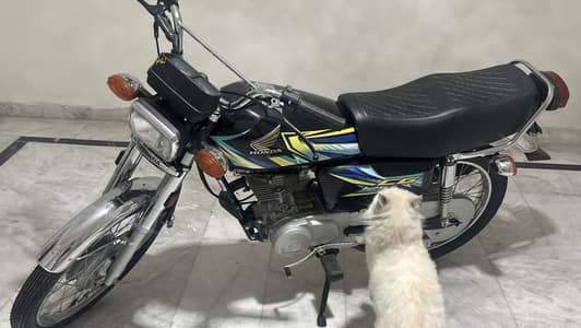 Honda 125 brand new