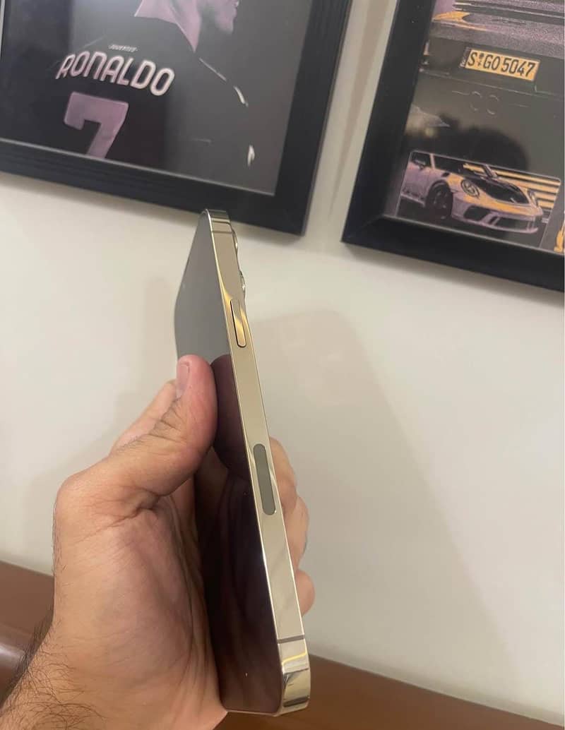 Apple iPhone 13 Pro Max 1