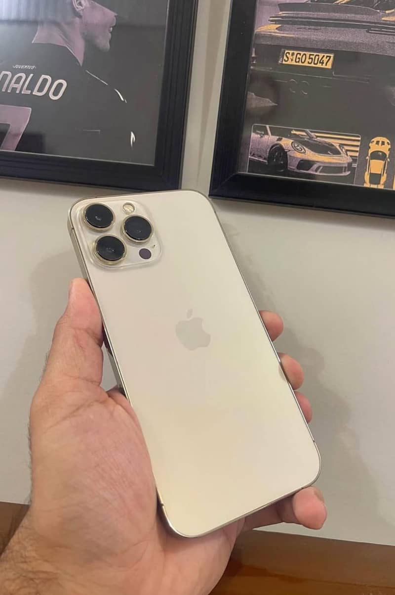 Apple iPhone 13 Pro Max 2