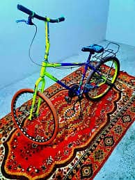 Phoenix cycle
