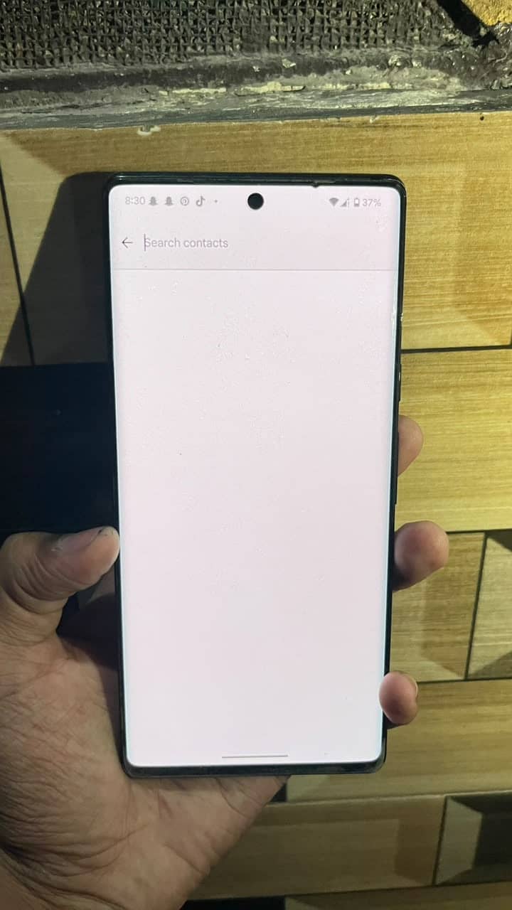 Google Pixel 6 Pro 1