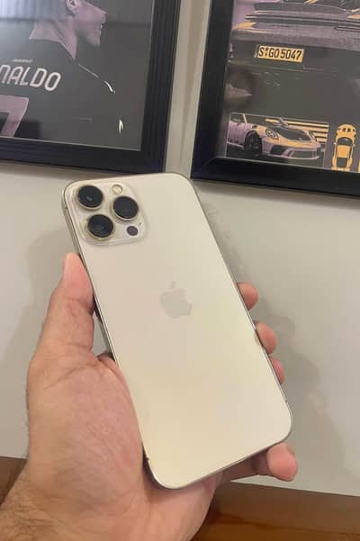 Apple iPhone 13 Pro Max