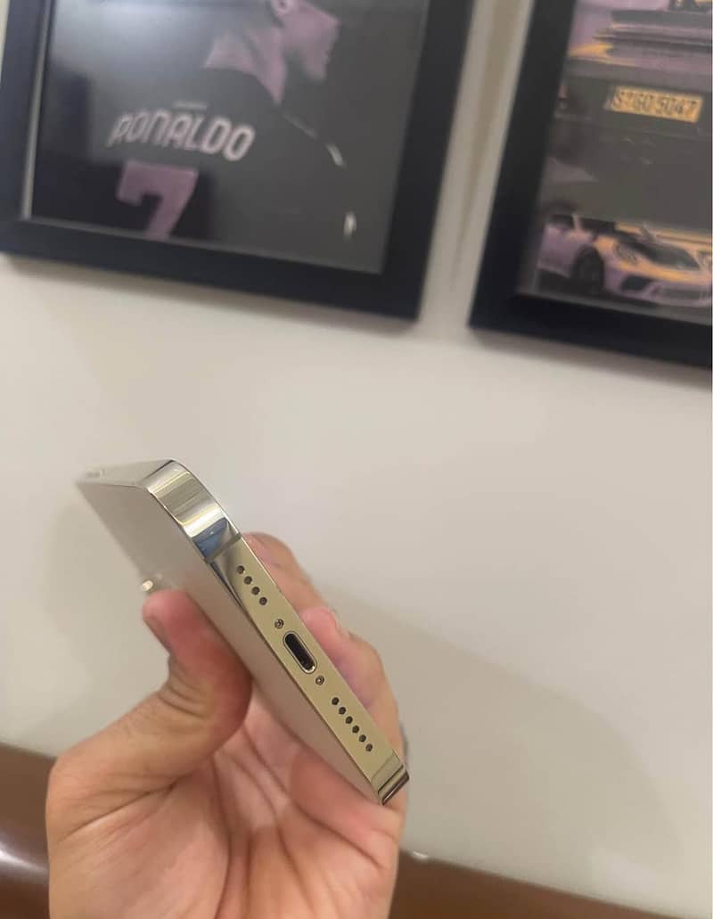 Apple iPhone 13 Pro Max 3