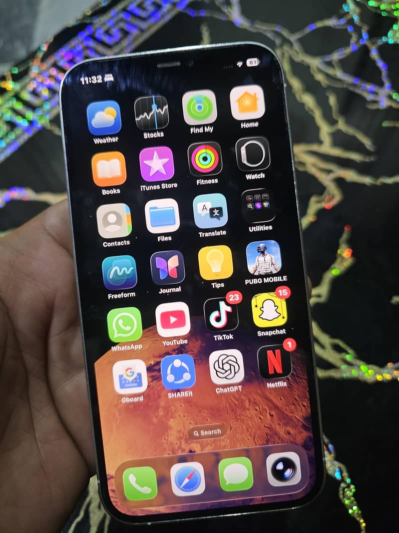 Apple iPhone 12 Pro Max 2