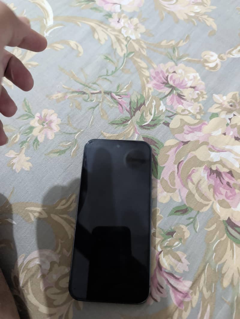 Google Pixel 9 Pro XL 1