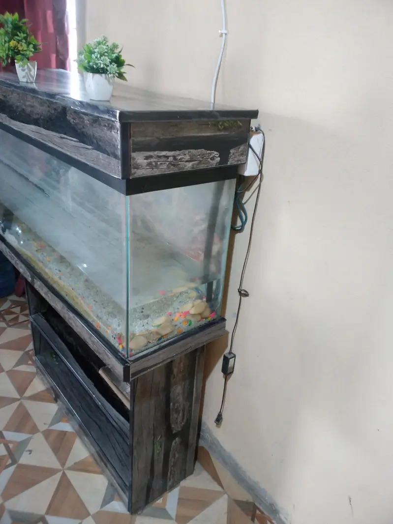 Sel acqurirm with filter and air nozel — photo 2