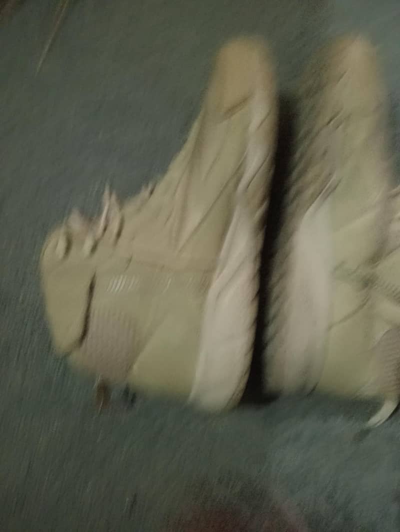 long shoes 2