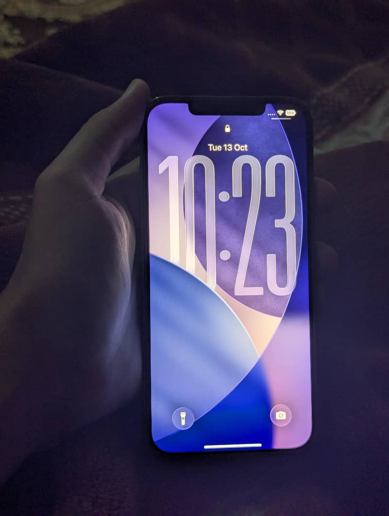 Apple iPhone 12 Pro Max 3
