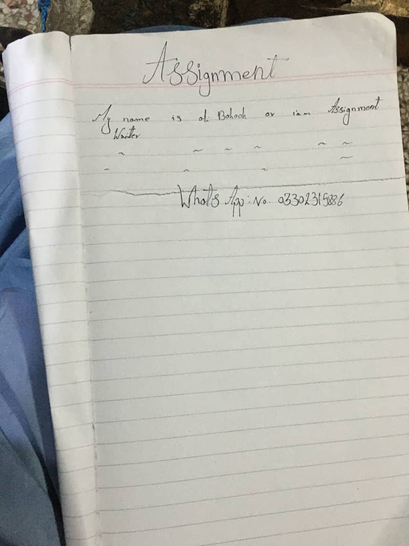 Assignment Writer 0