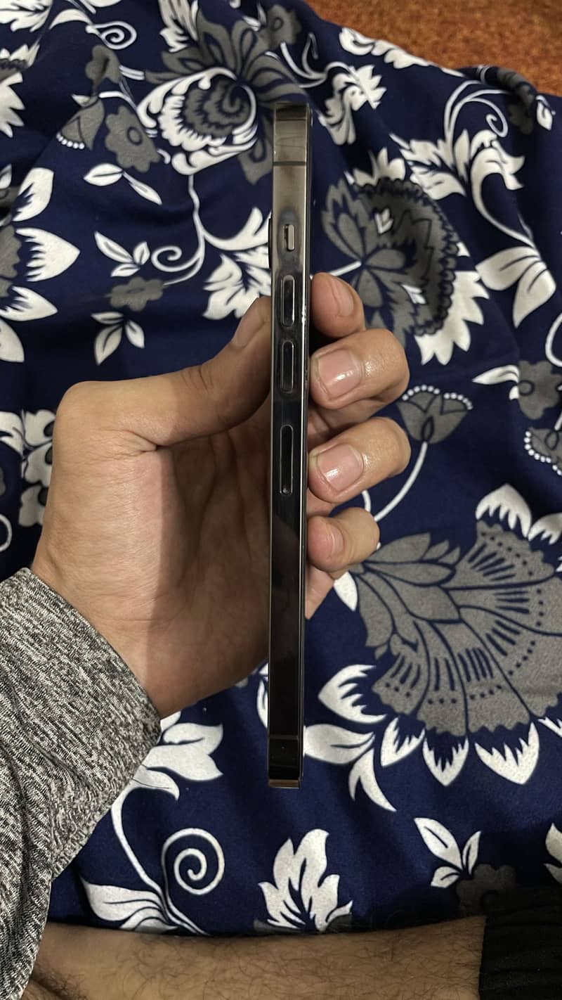 Apple iPhone 13 Pro Max 3