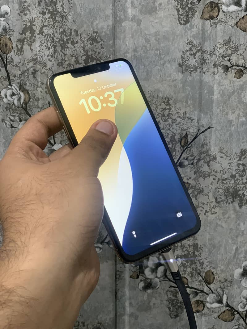 Apple iPhone XS Max 1
