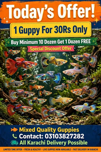 guppy fish wholesale