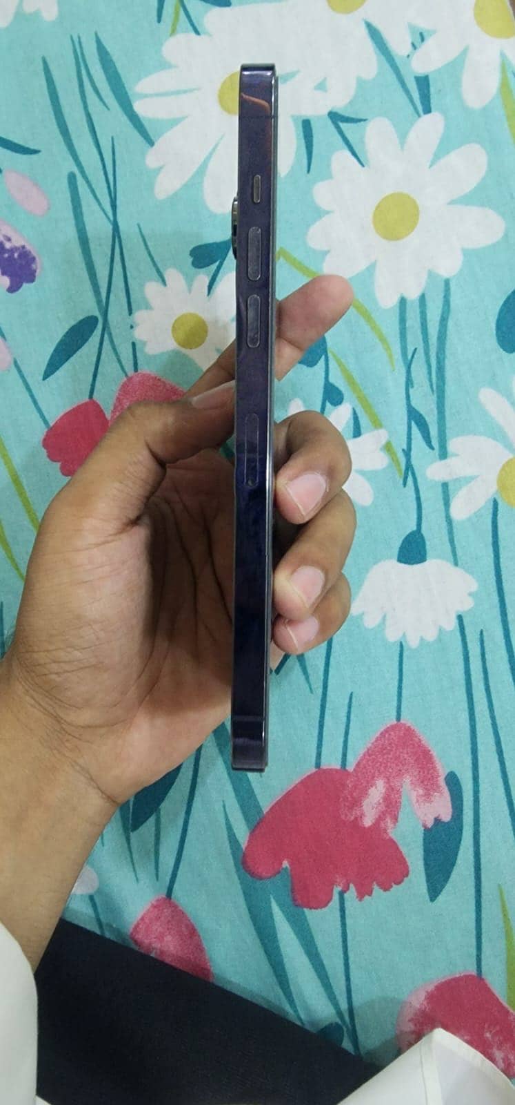 Apple iPhone 14 Pro Max 1