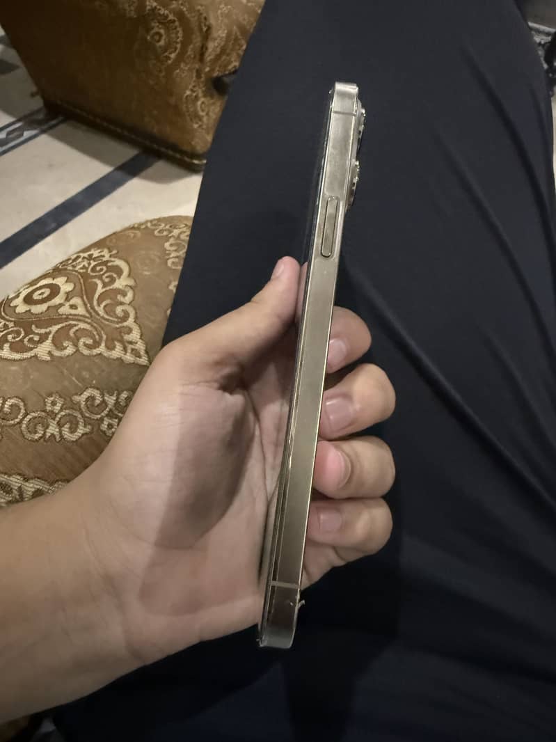 Apple iPhone 13 Pro Max 1