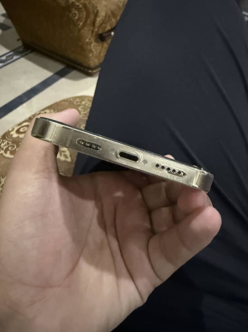 Apple iPhone 13 Pro Max 3