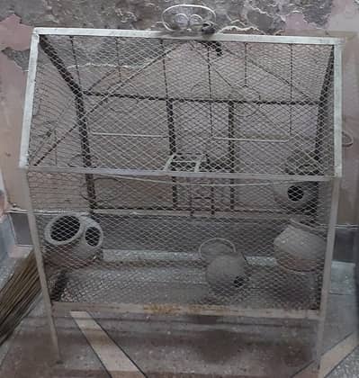 Bird Enclosure
