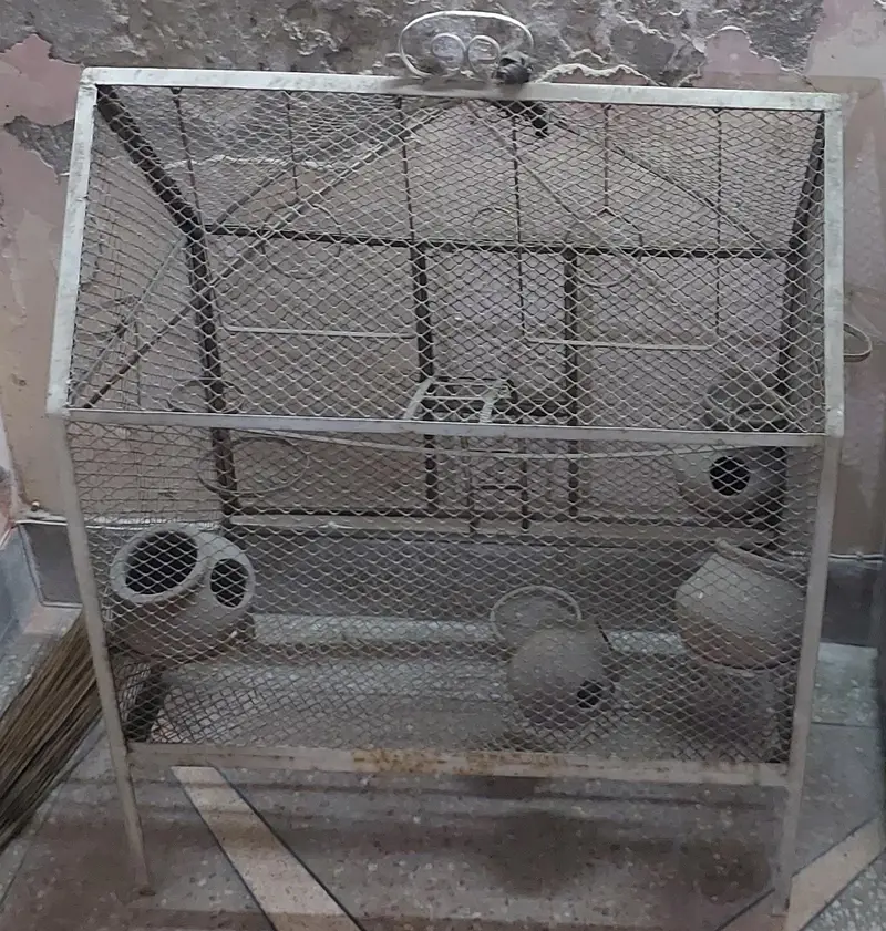 Bird Enclosure