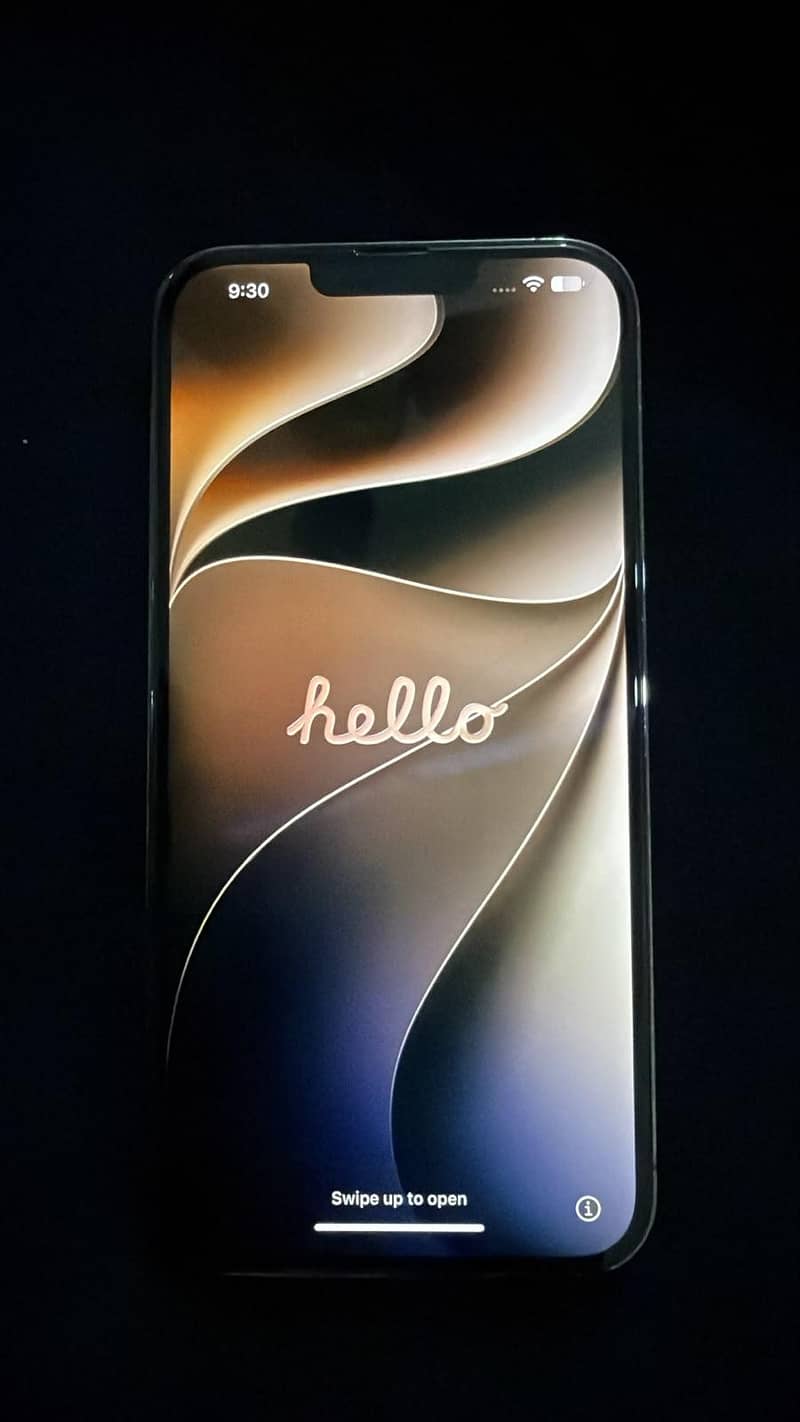 Apple iPhone 13 Pro Max 1