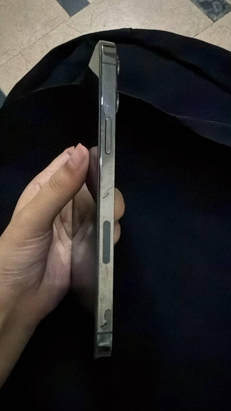 Apple iPhone 13 Pro Max 2