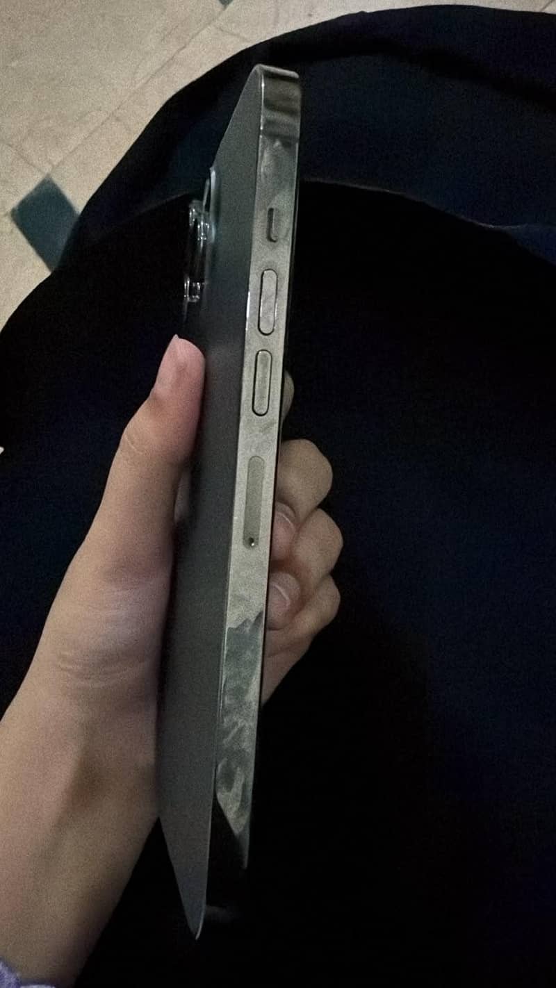 Apple iPhone 13 Pro Max 3