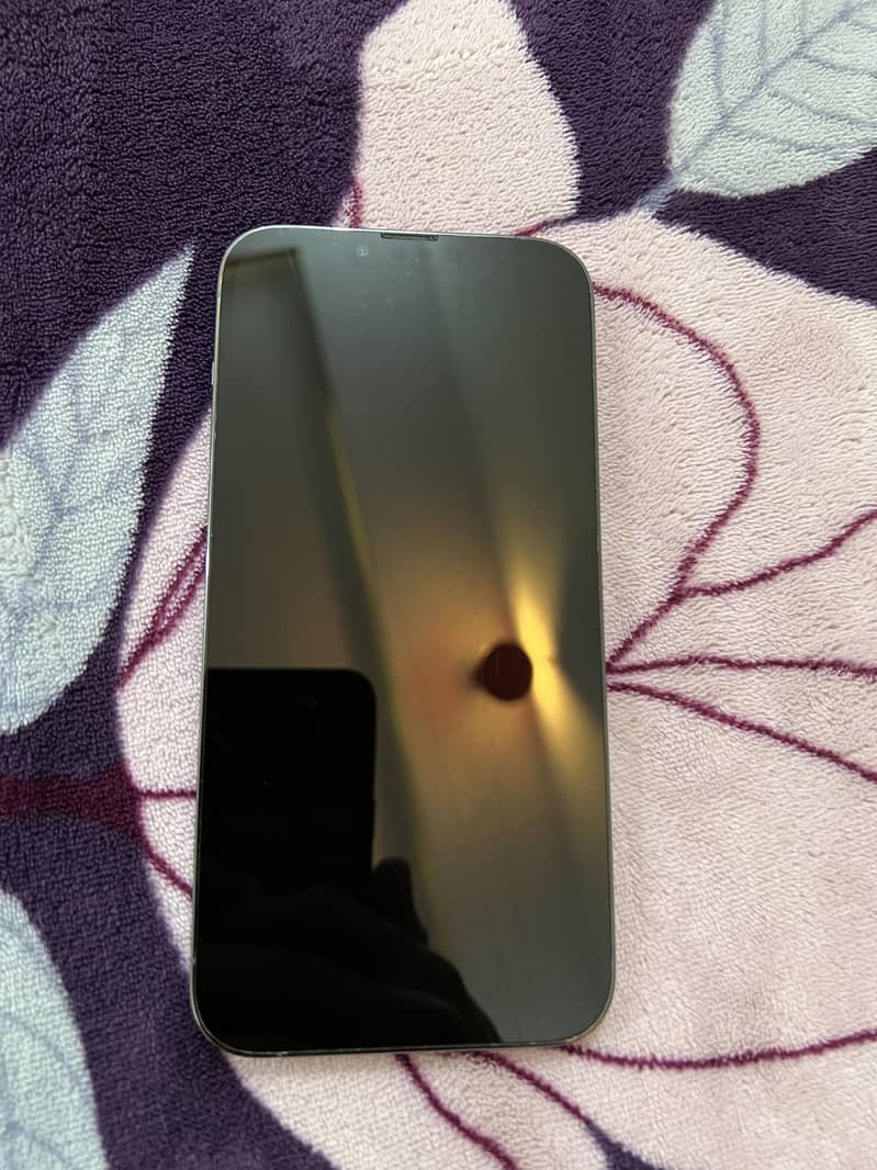 Apple iPhone 13 Pro Max 6
