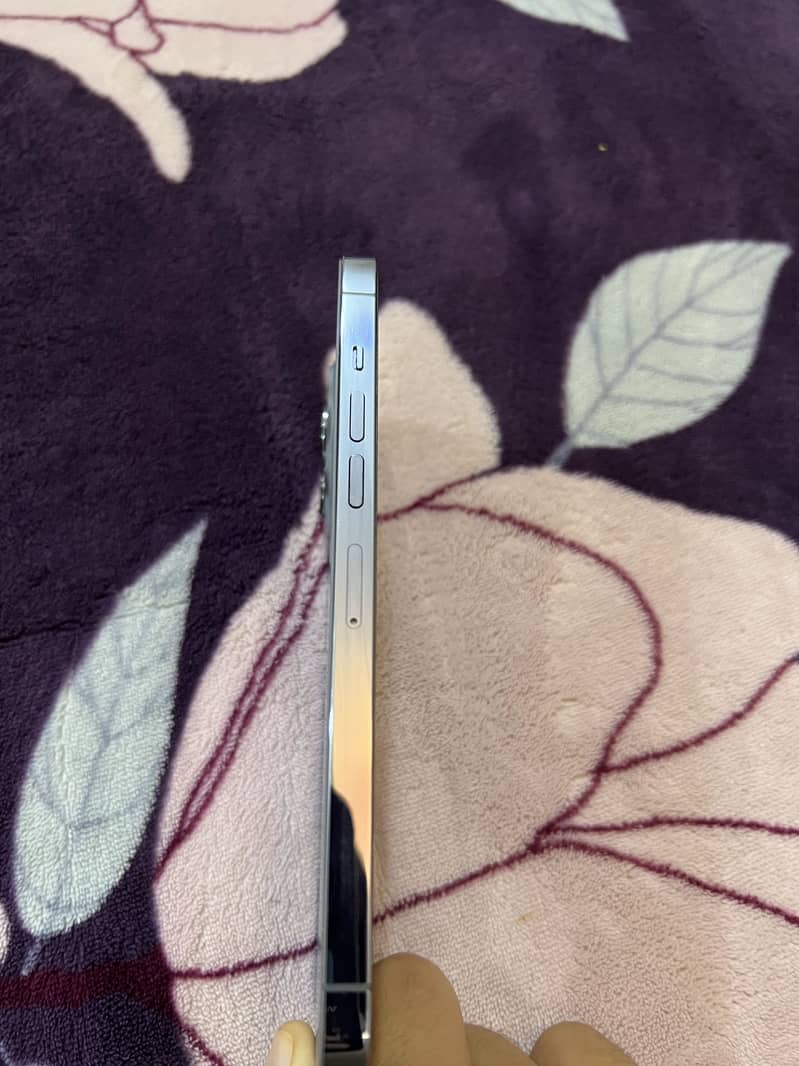 Apple iPhone 13 Pro Max 7