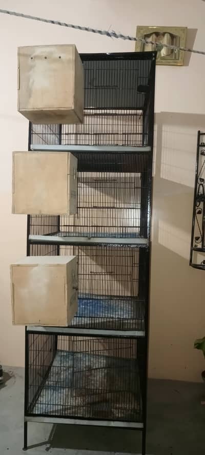 Iron cage for birds cocktails fishers Australian parot