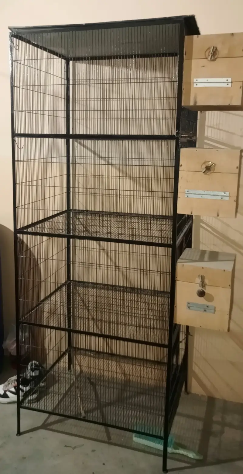 Iron cage for birds cocktails fishers Australian parot — photo 2