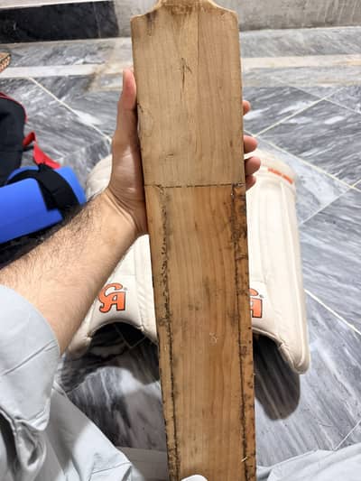Cricket kit with bat