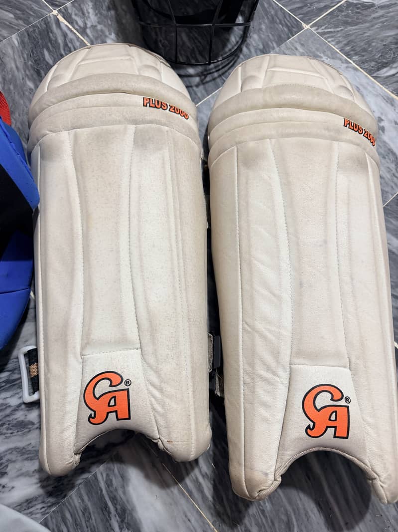 Cricket kit with bat 1
