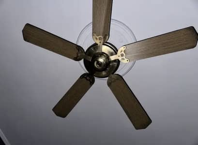 2 pc fan Perwaz ceiling fan 5 spoke