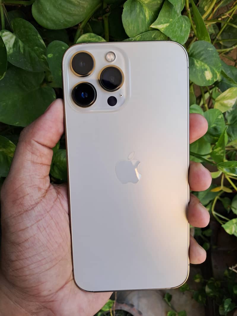 Apple iPhone 13 Pro Max 1