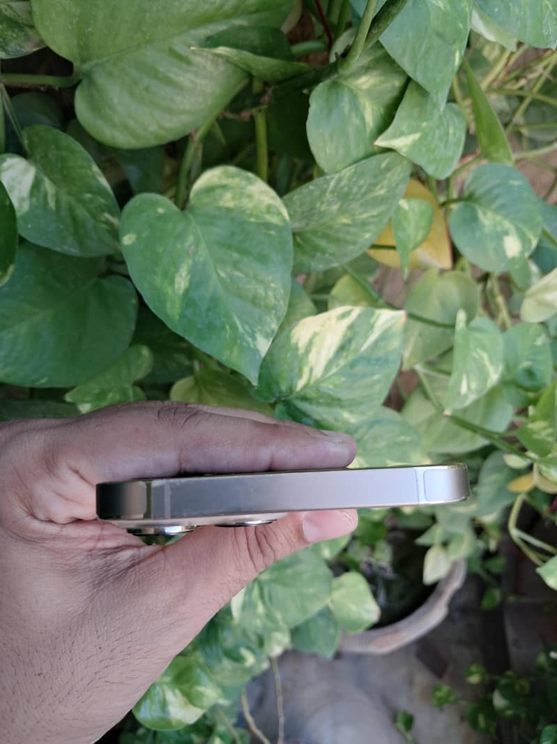 Apple iPhone 13 Pro Max 2