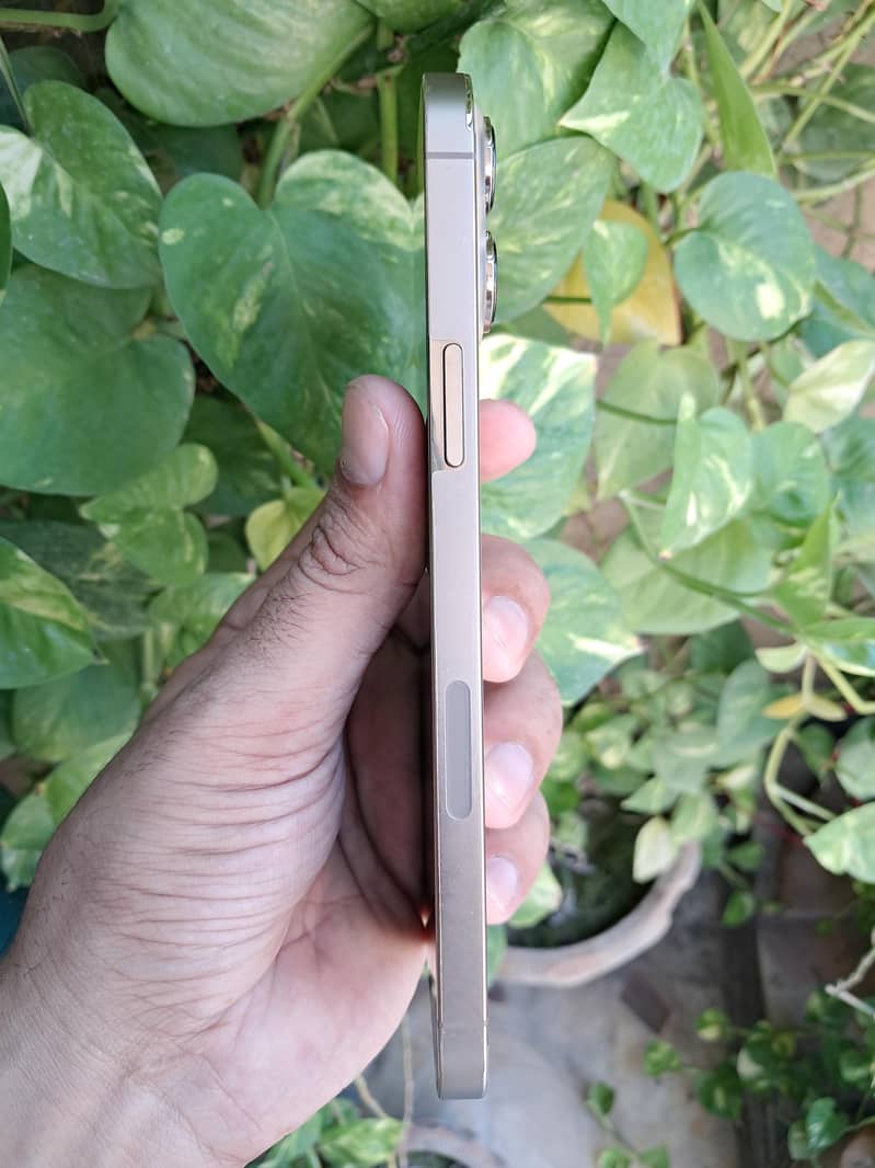 Apple iPhone 13 Pro Max 4