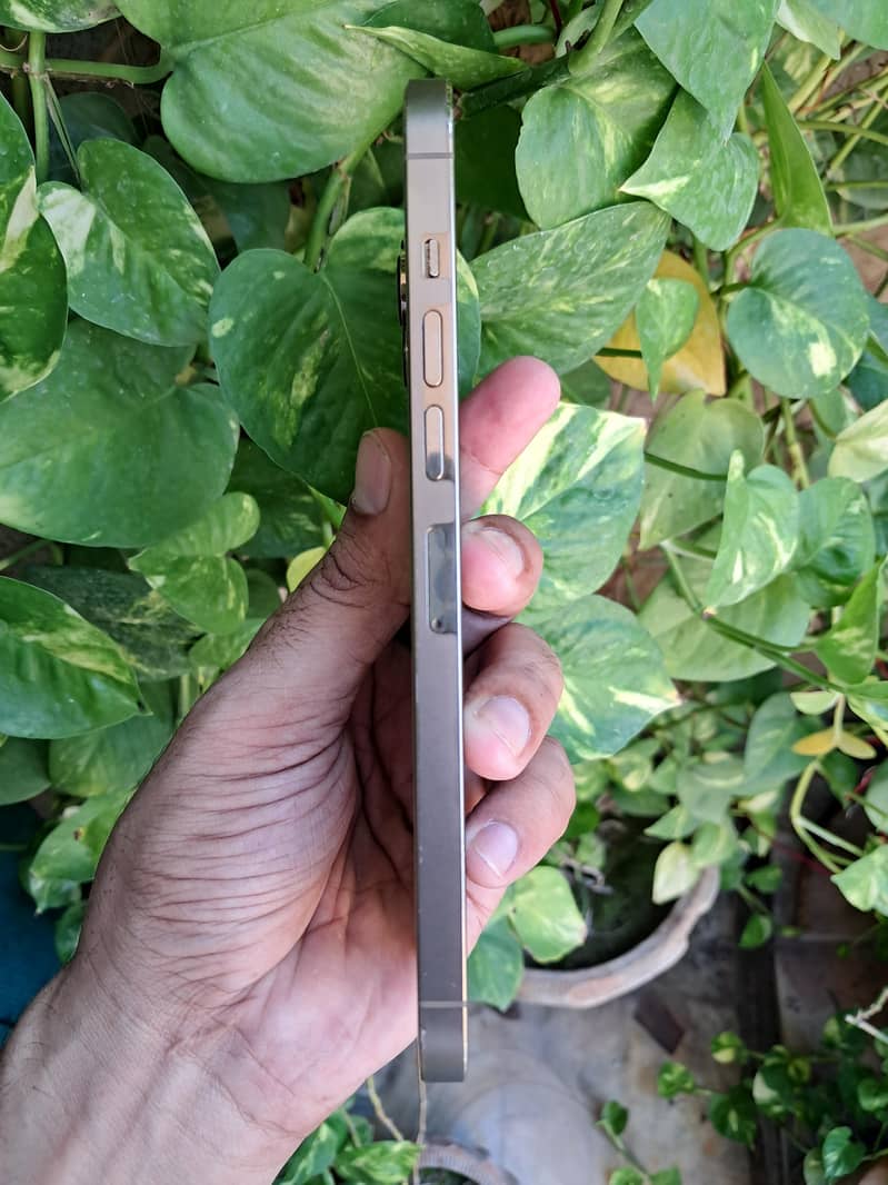 Apple iPhone 13 Pro Max 5