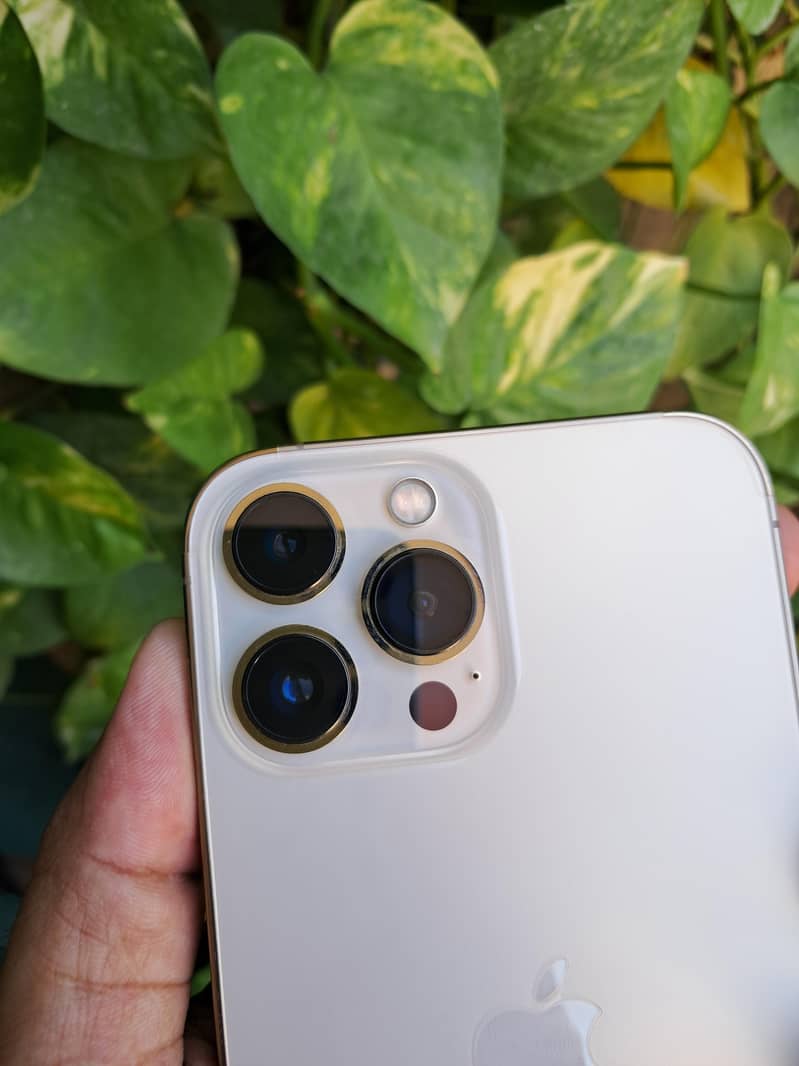 Apple iPhone 13 Pro Max 6