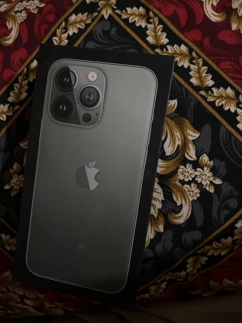 Apple iPhone 13 Pro Max 1