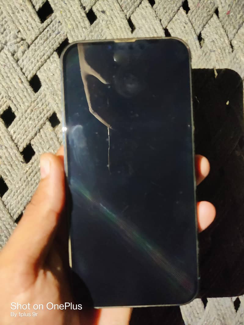 Apple iPhone 13 Pro Max 1