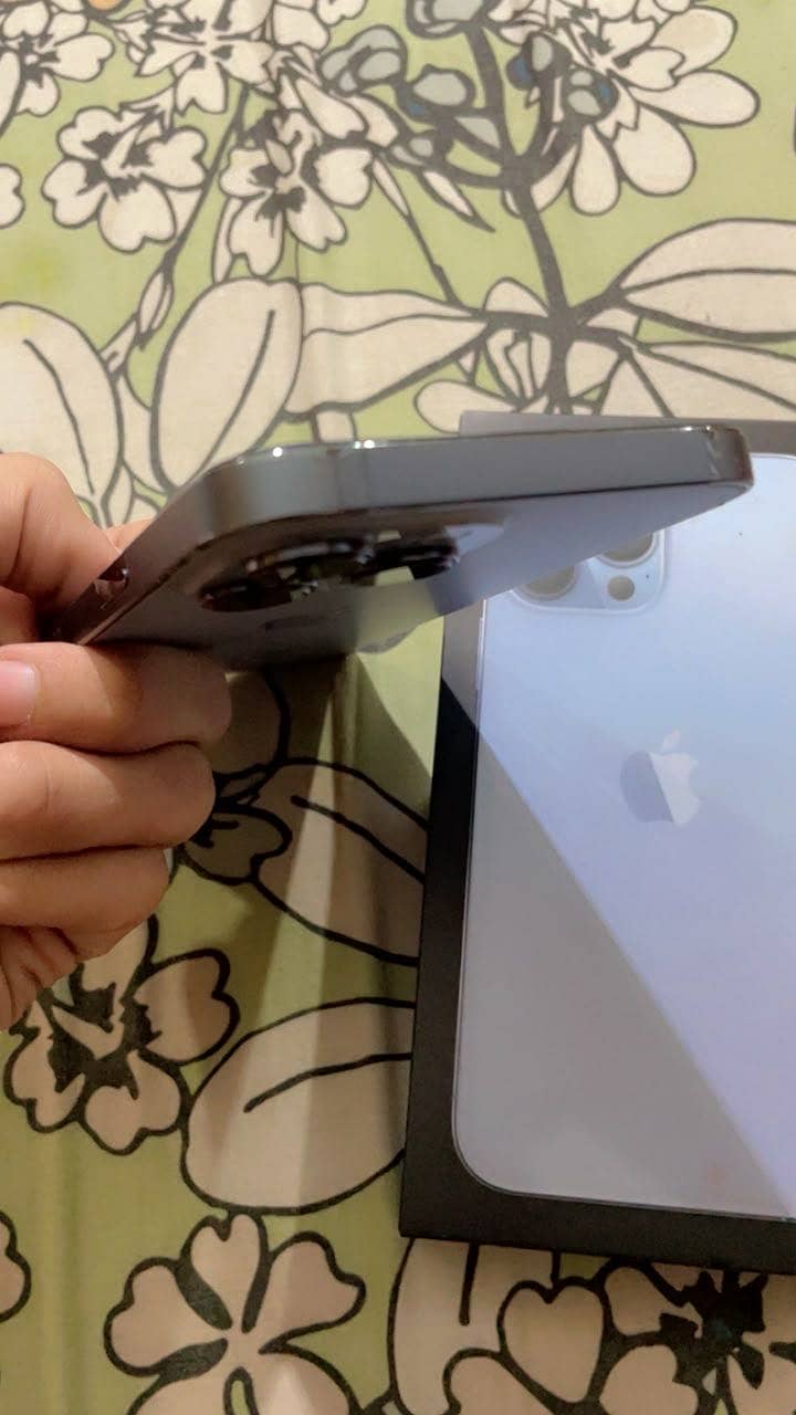 Apple iPhone 13 Pro Max 1