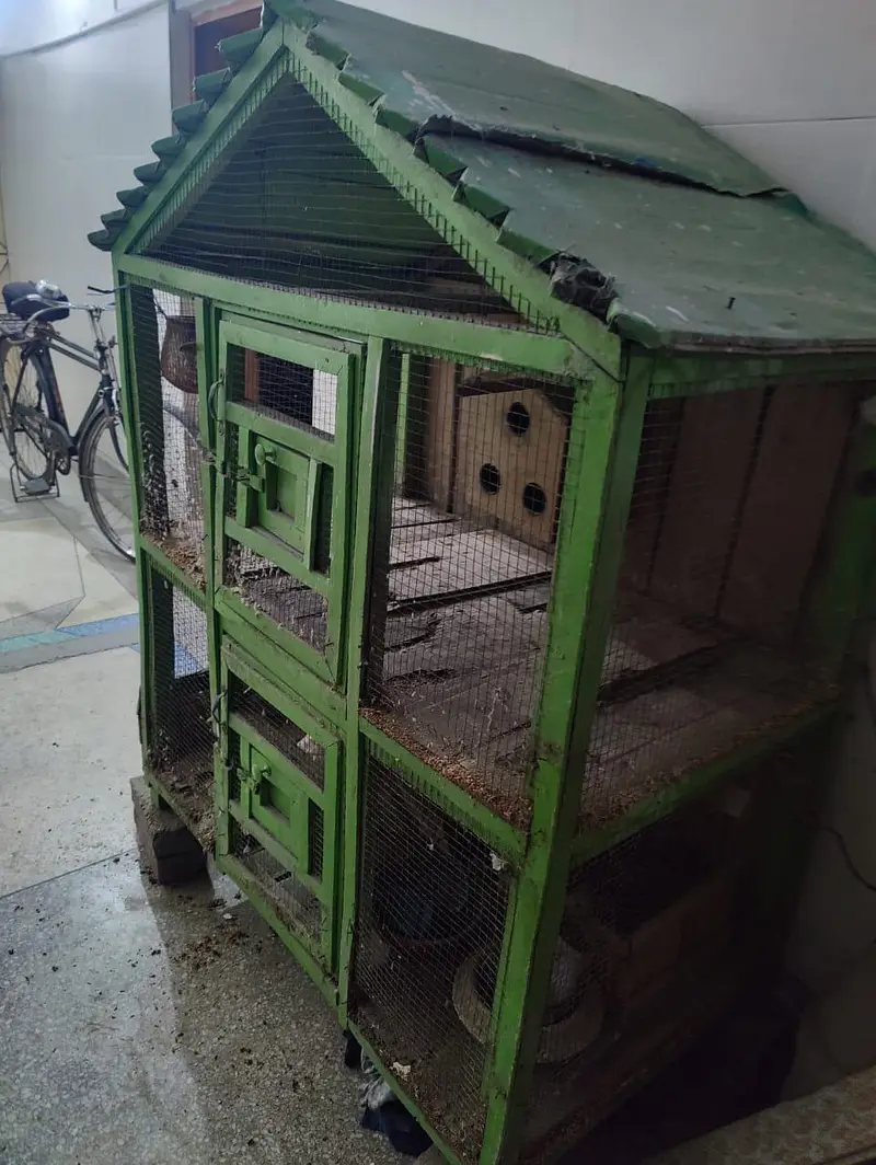 Wood made 2 portions Cage — photo 2