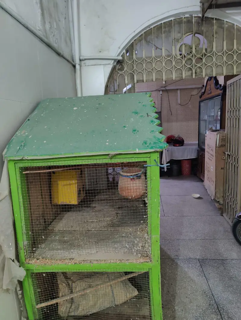 Wood made 2 portions Cage — photo 3