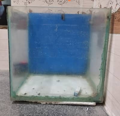 1.5ft Fish Aquarium for Sale