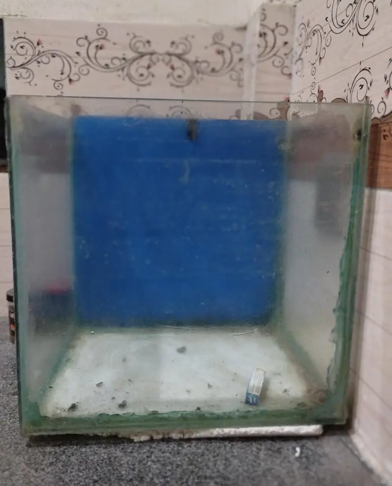 1.5ft Fish Aquarium for Sale — photo 2
