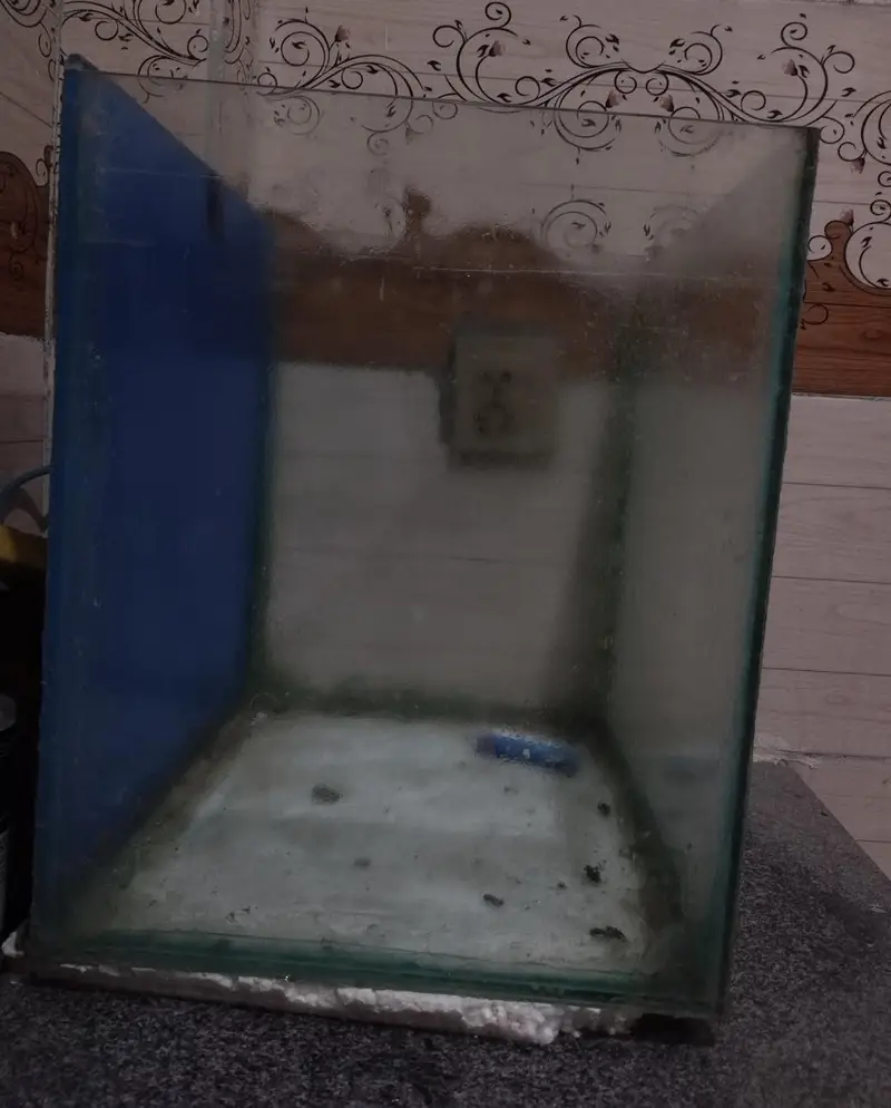 1.5ft Fish Aquarium for Sale — photo 3