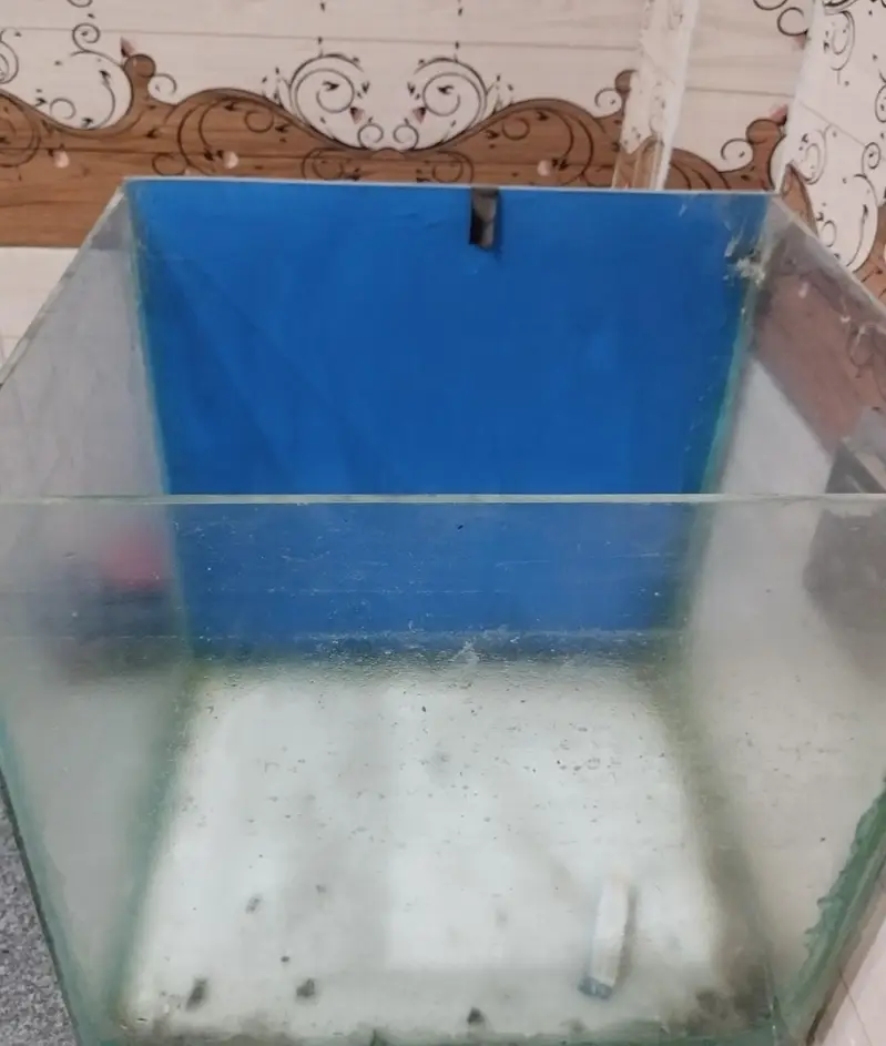 1.5ft Fish Aquarium for Sale — photo 4