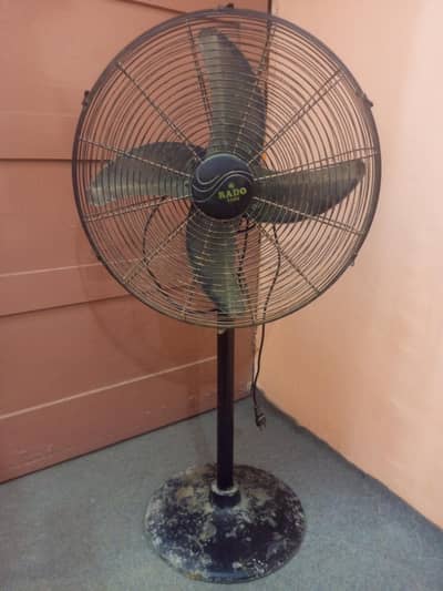 Rado Pedestral Fan