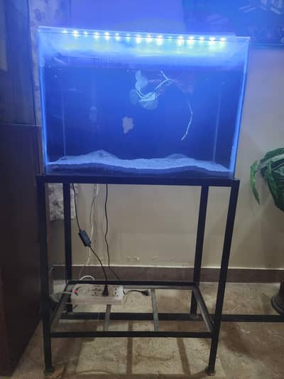 aquarium setup for sale