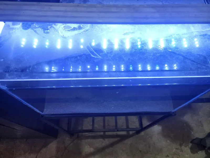 aquarium setup for sale — photo 2
