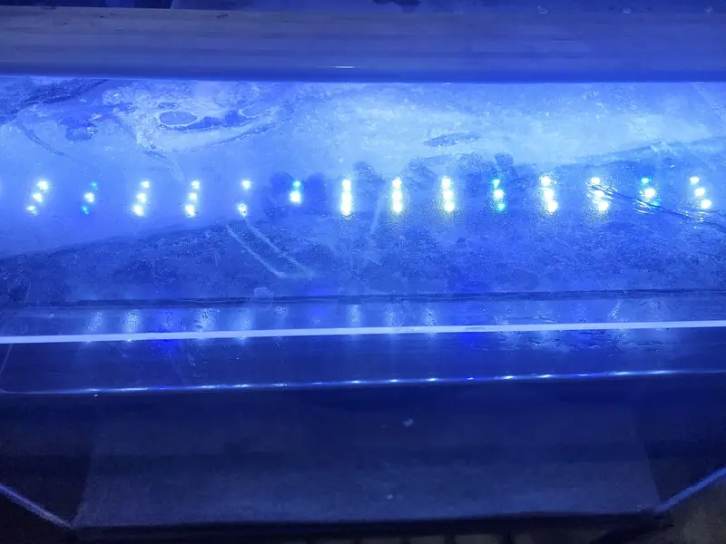 aquarium setup for sale — photo 3