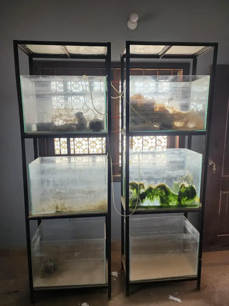 aquarium setup for sale — photo 6